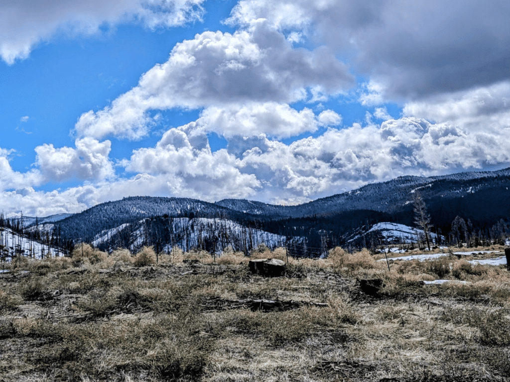 A desert landscape with mountains in the background.