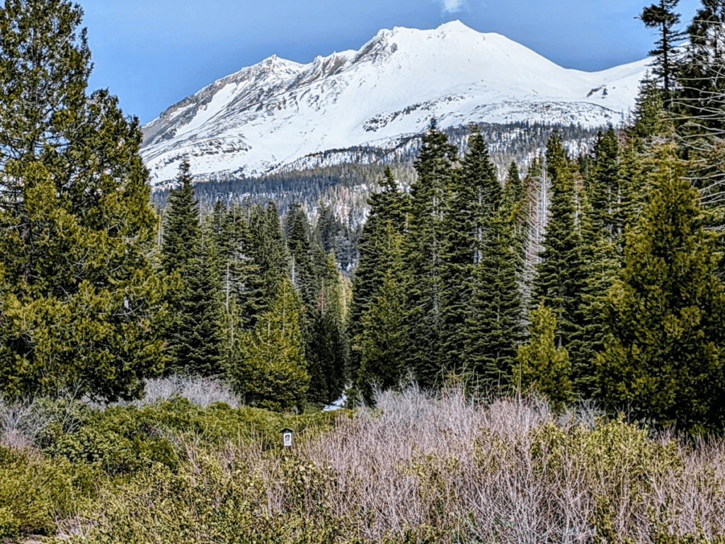 Mt Shasta