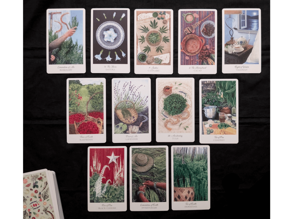 Tarot cards from the Herbcrafter's Tarot deck.