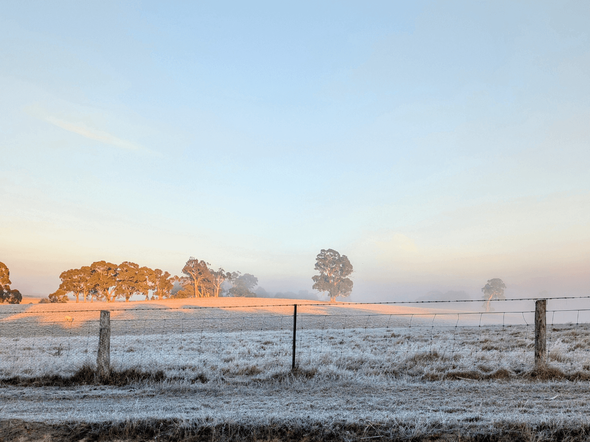 A frosty winter morning across an country Victorian landscpae.