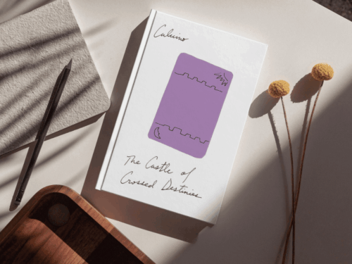 The book, Castle of Crossed Destinies against a sunlit desk background.