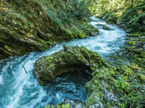 A flowing river.