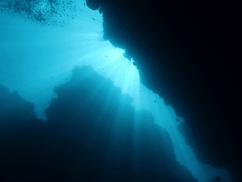 Sunbeams underwater.